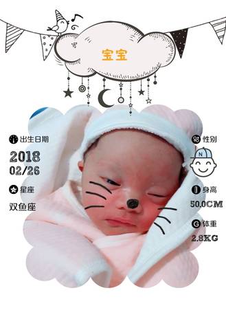 journal_insert_pic_960643571