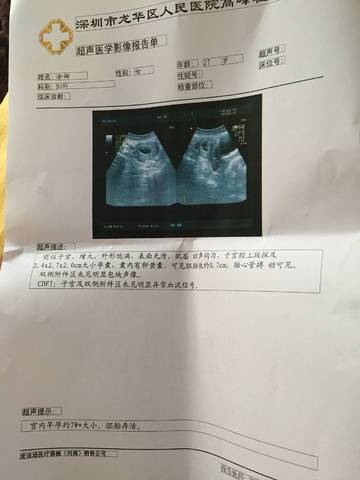 journal_insert_pic_961359653