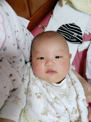 journal_insert_pic_961535023