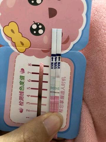 journal_insert_pic_962288508
