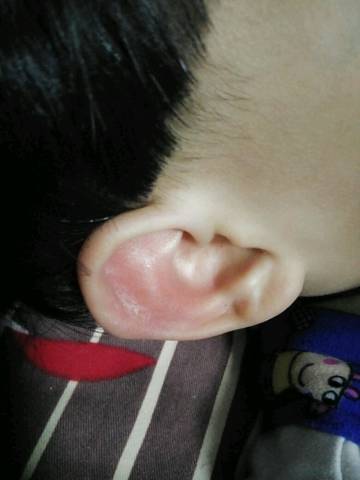 journal_insert_pic_962256202