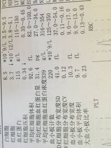 journal_insert_pic_961973266
