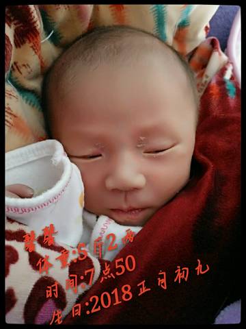 journal_insert_pic_962932038