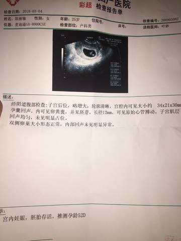 journal_insert_pic_962715001