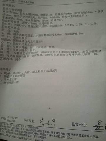 journal_insert_pic_962619367