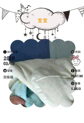 journal_insert_pic_962930426