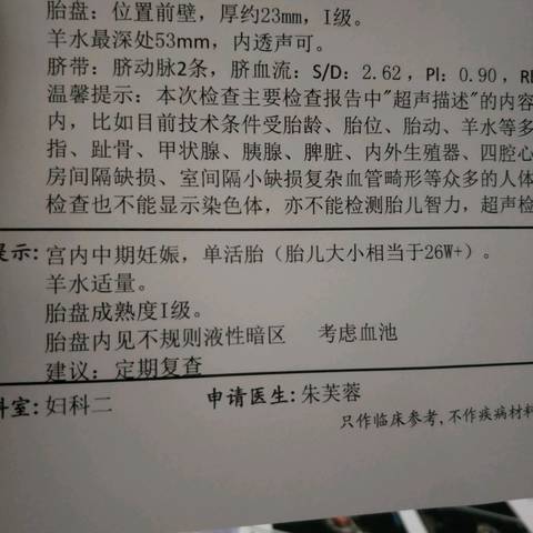 journal_insert_pic_962927421