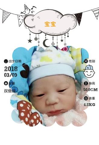 journal_insert_pic_962922567