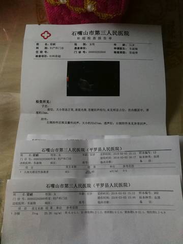 journal_insert_pic_963210431