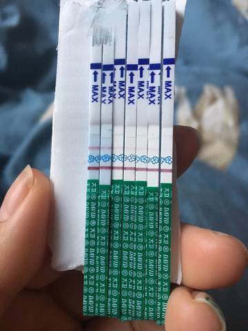 journal_insert_pic_963140699