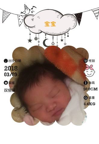 journal_insert_pic_963857118