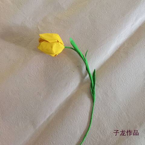 journal_insert_pic_964043768