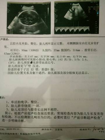 journal_insert_pic_964227016