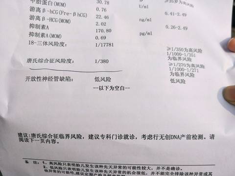 journal_insert_pic_964023421