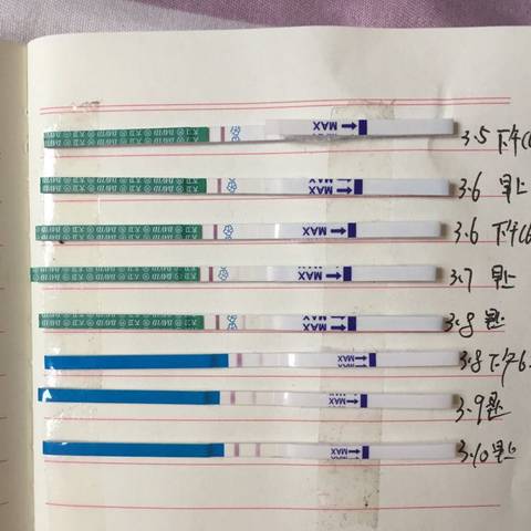 journal_insert_pic_963919233