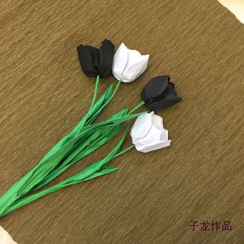journal_insert_pic_964043756