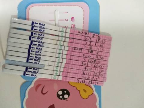 journal_insert_pic_965271632