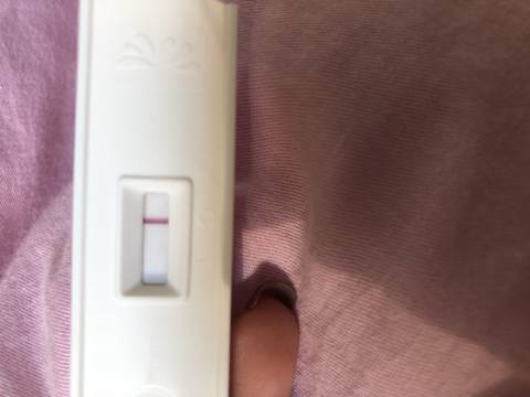 journal_insert_pic_964763274