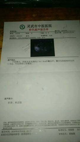 journal_insert_pic_964778701
