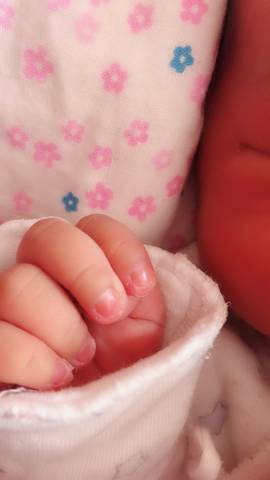 journal_insert_pic_965764784
