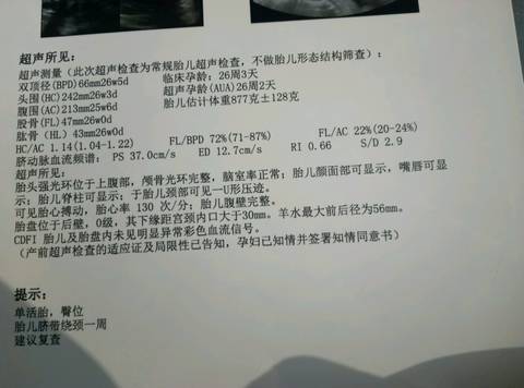 journal_insert_pic_966100627