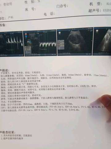 journal_insert_pic_965909097