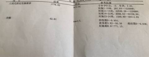 journal_insert_pic_965941273