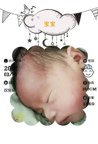 journal_insert_pic_965596258