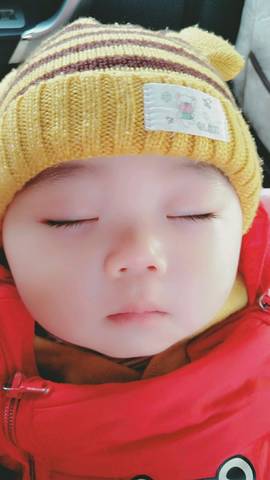 journal_insert_pic_965840346