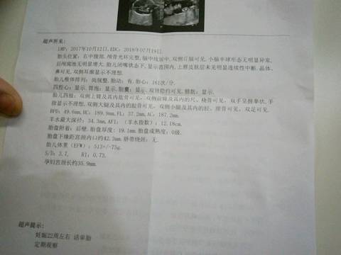 journal_insert_pic_966633331