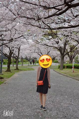 journal_insert_pic_966831712