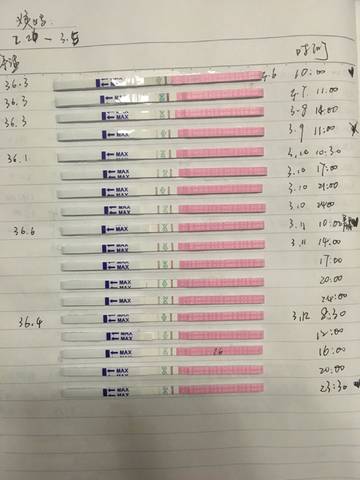journal_insert_pic_967149052