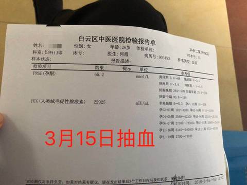 journal_insert_pic_968192338