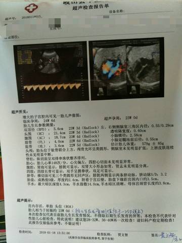 journal_insert_pic_968008014