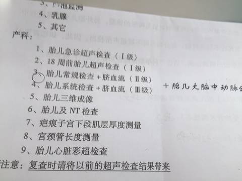journal_insert_pic_970494951