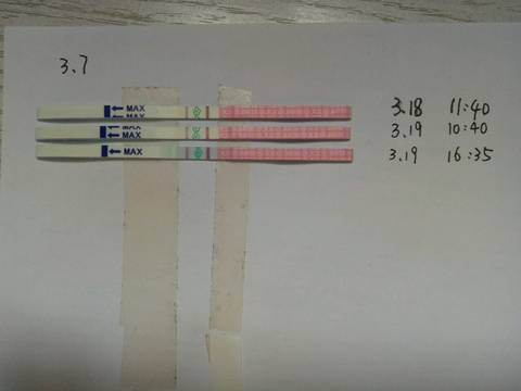 journal_insert_pic_970507151