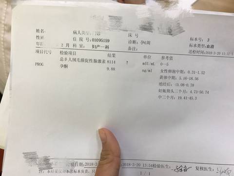journal_insert_pic_971179359