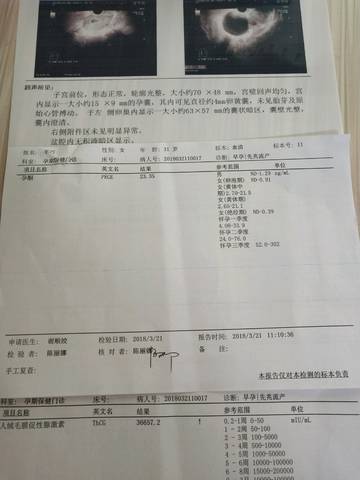 journal_insert_pic_971884138