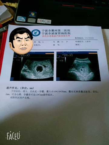 journal_insert_pic_972499803