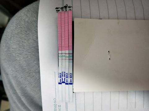journal_insert_pic_972280516