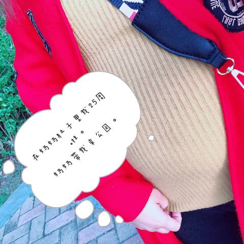 journal_insert_pic_972663818