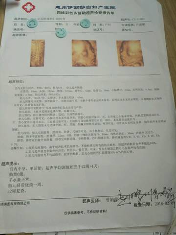 journal_insert_pic_973199376