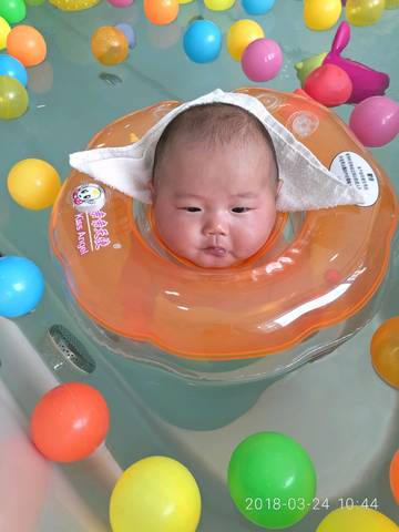 journal_insert_pic_974166617
