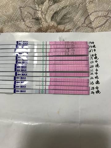journal_insert_pic_974065434