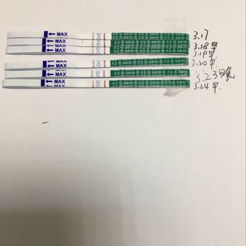journal_insert_pic_974024626