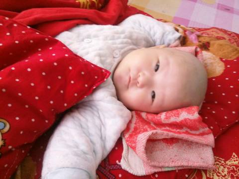journal_insert_pic_973975084
