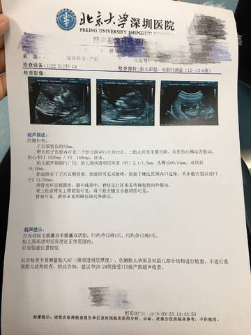 journal_insert_pic_974563231