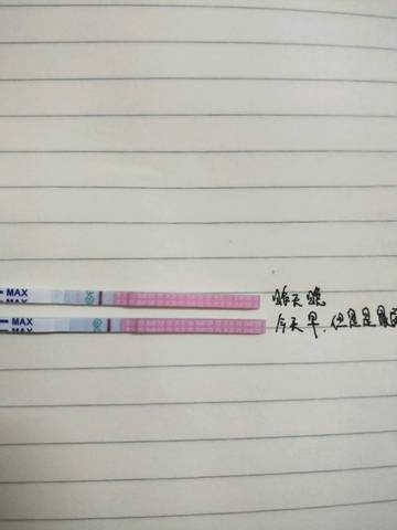 journal_insert_pic_975184739