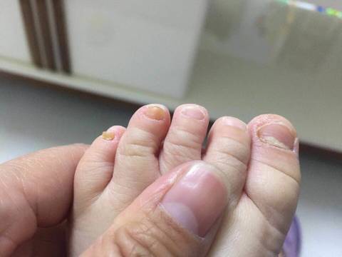journal_insert_pic_975621492
