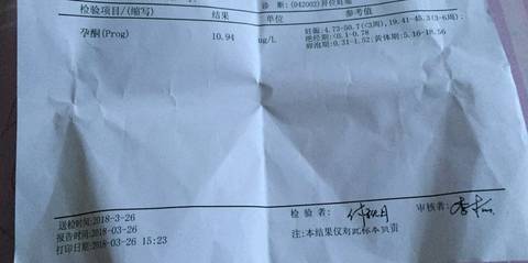 journal_insert_pic_975702650